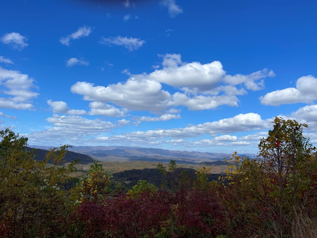 0 Brasstown Heights