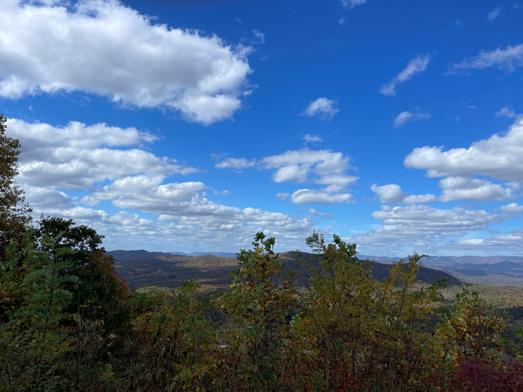 0 Brasstown Heights