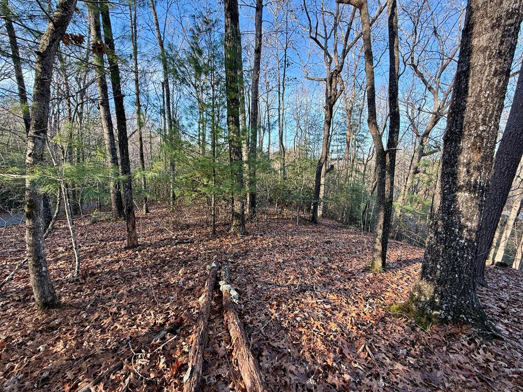 Lot 42 Panico Trail