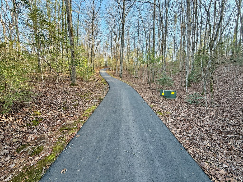 Lot 42 Panico Trail