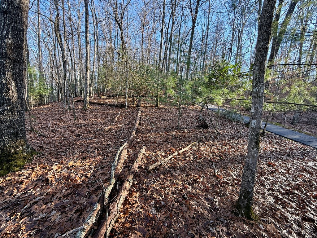 Lot 42 Panico Trail
