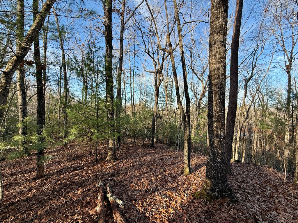 Lot 42 Panico Trail