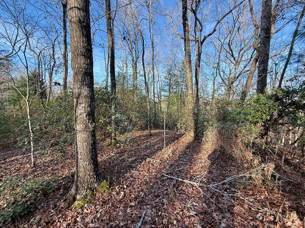 Lot 42 Panico Trail