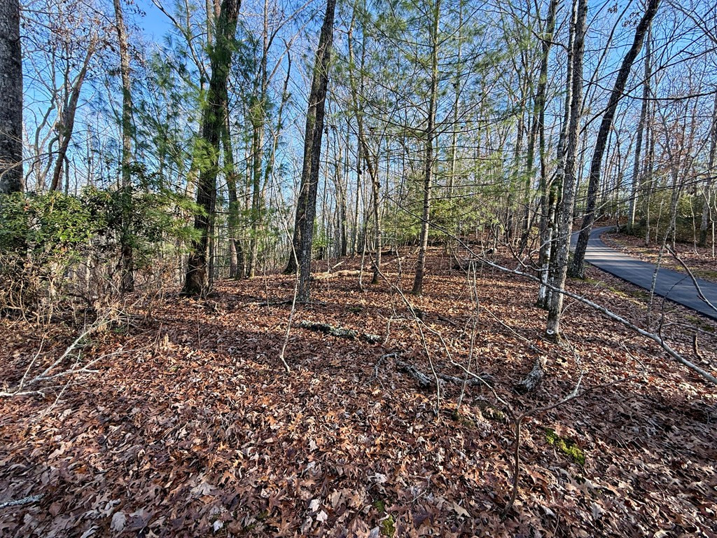 Lot 42 Panico Trail