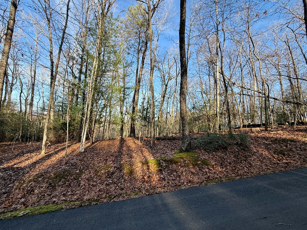 Lot 42 Panico Trail