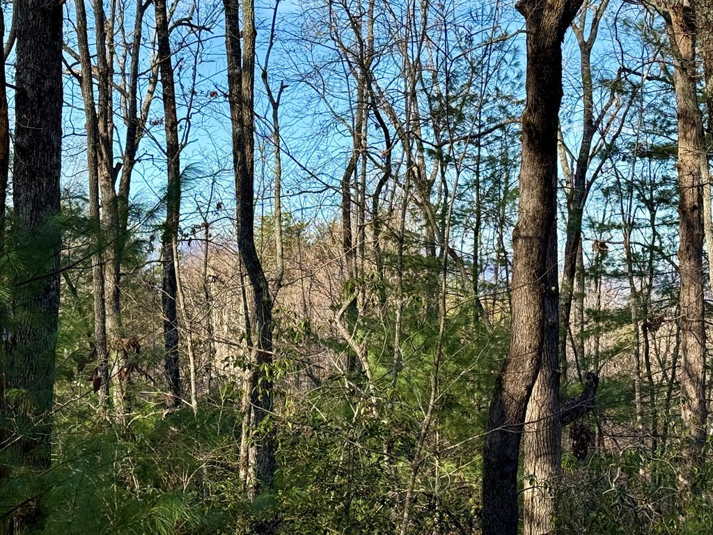 Lot 42 Panico Trail
