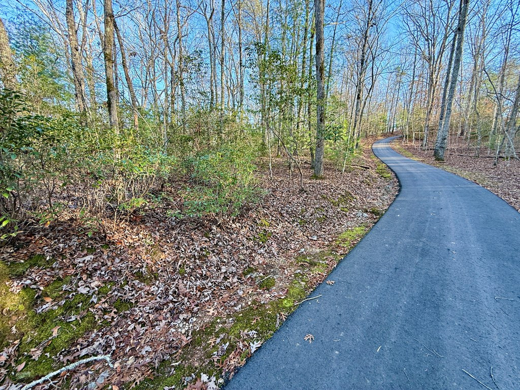 Lot 42 Panico Trail