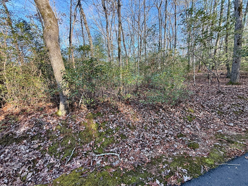 Lot 42 Panico Trail