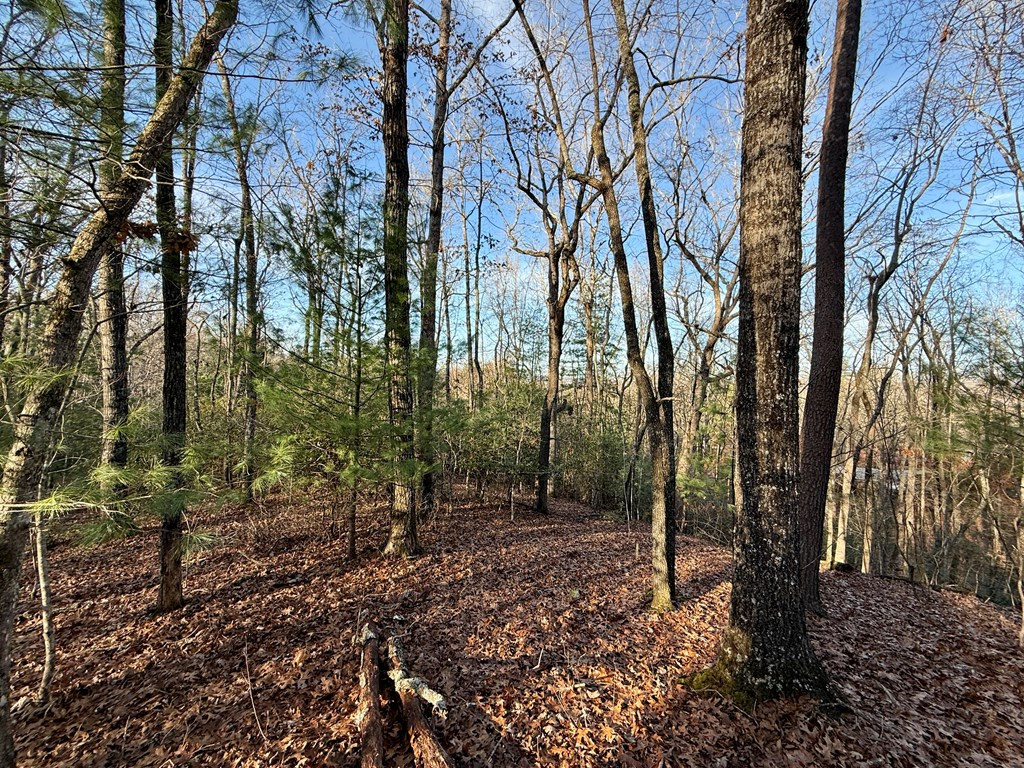 Lot 42 Panico Trail