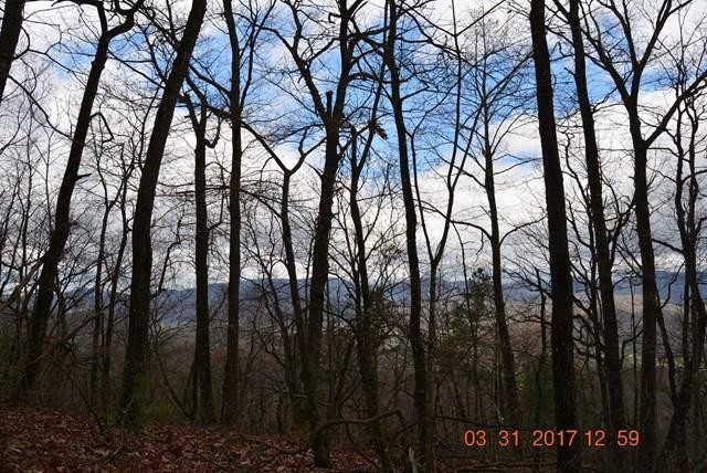 3530 Grape Creek Road