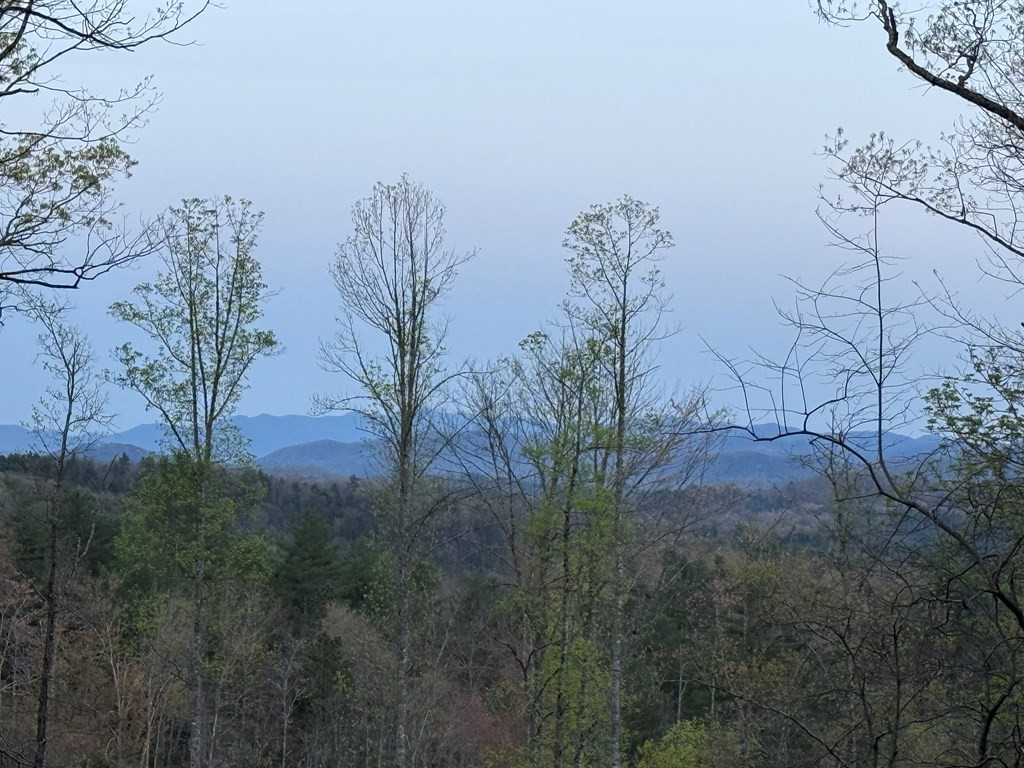 3530 Grape Creek Road