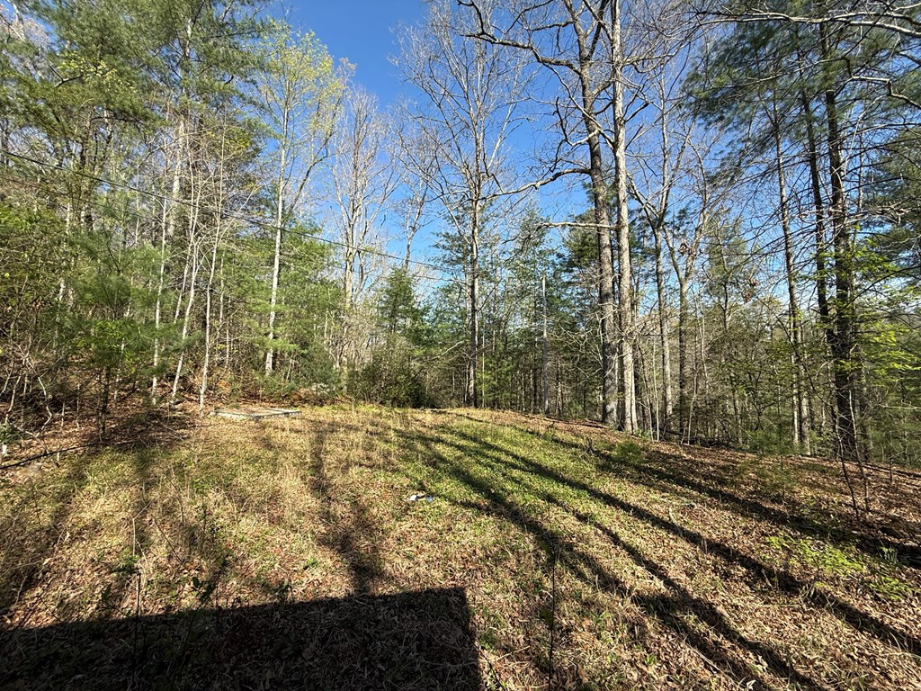 2231 Camp Creek Road