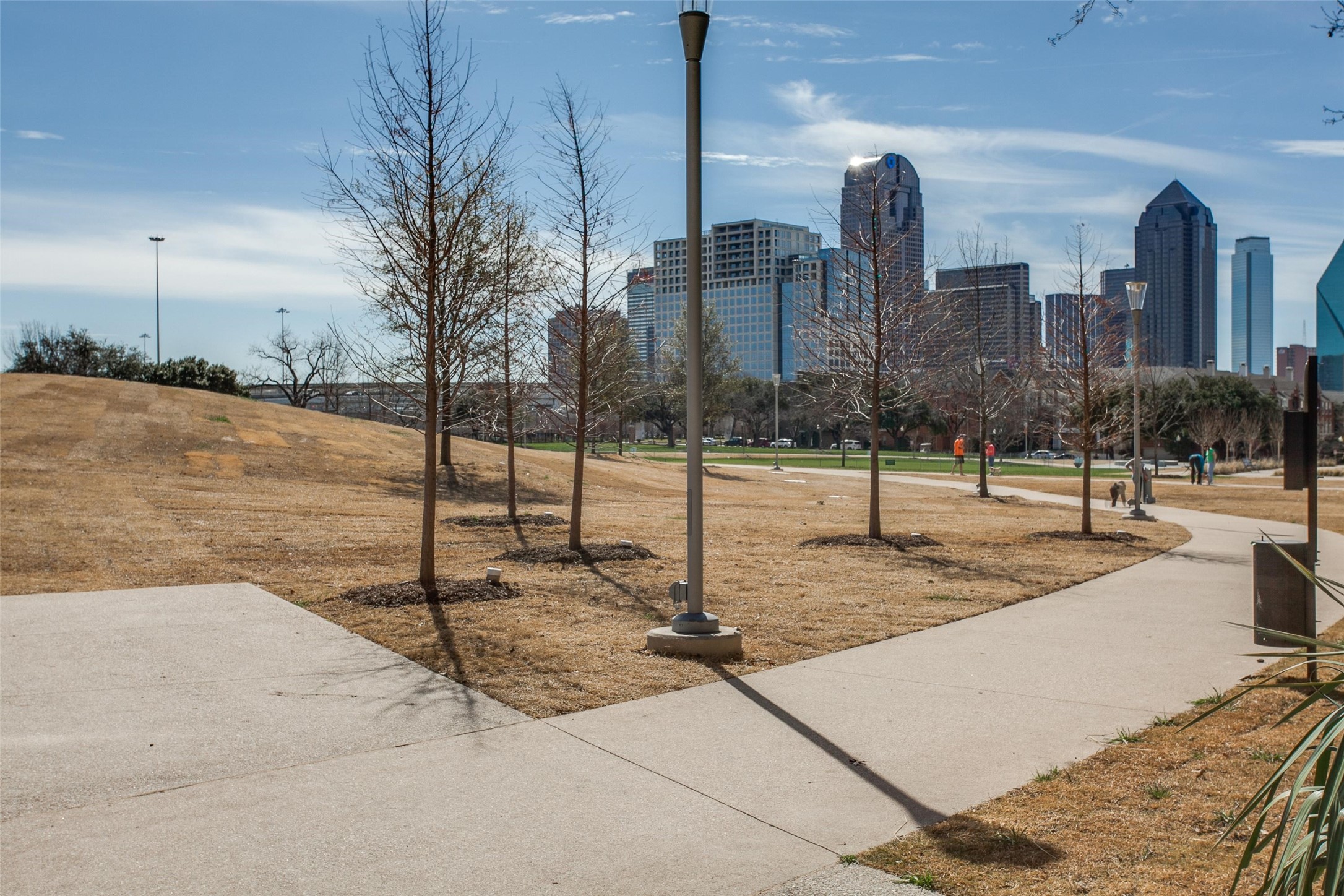 3110 Thomas Avenue 504