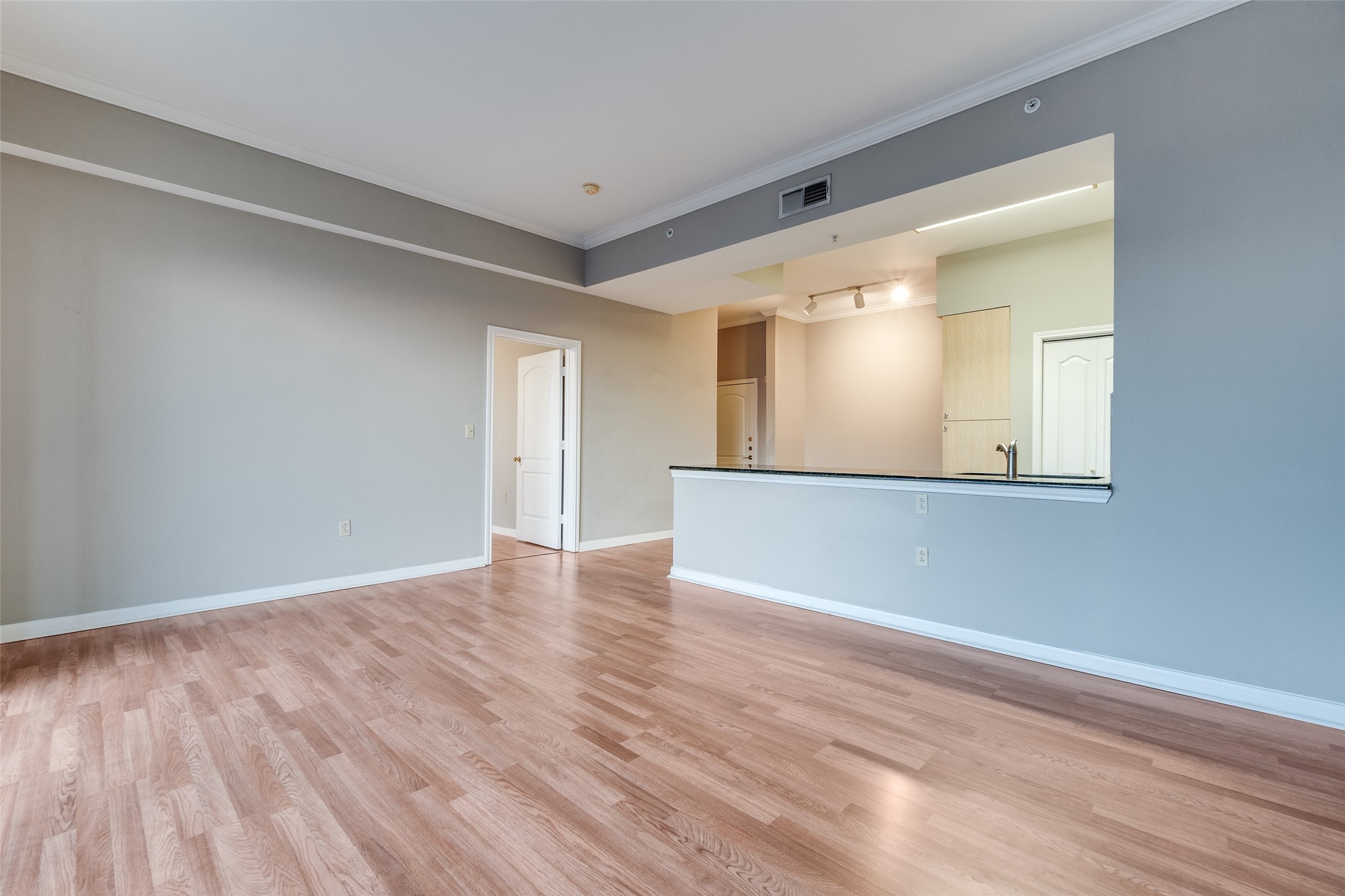 3225 Turtle Creek Boulevard 1236