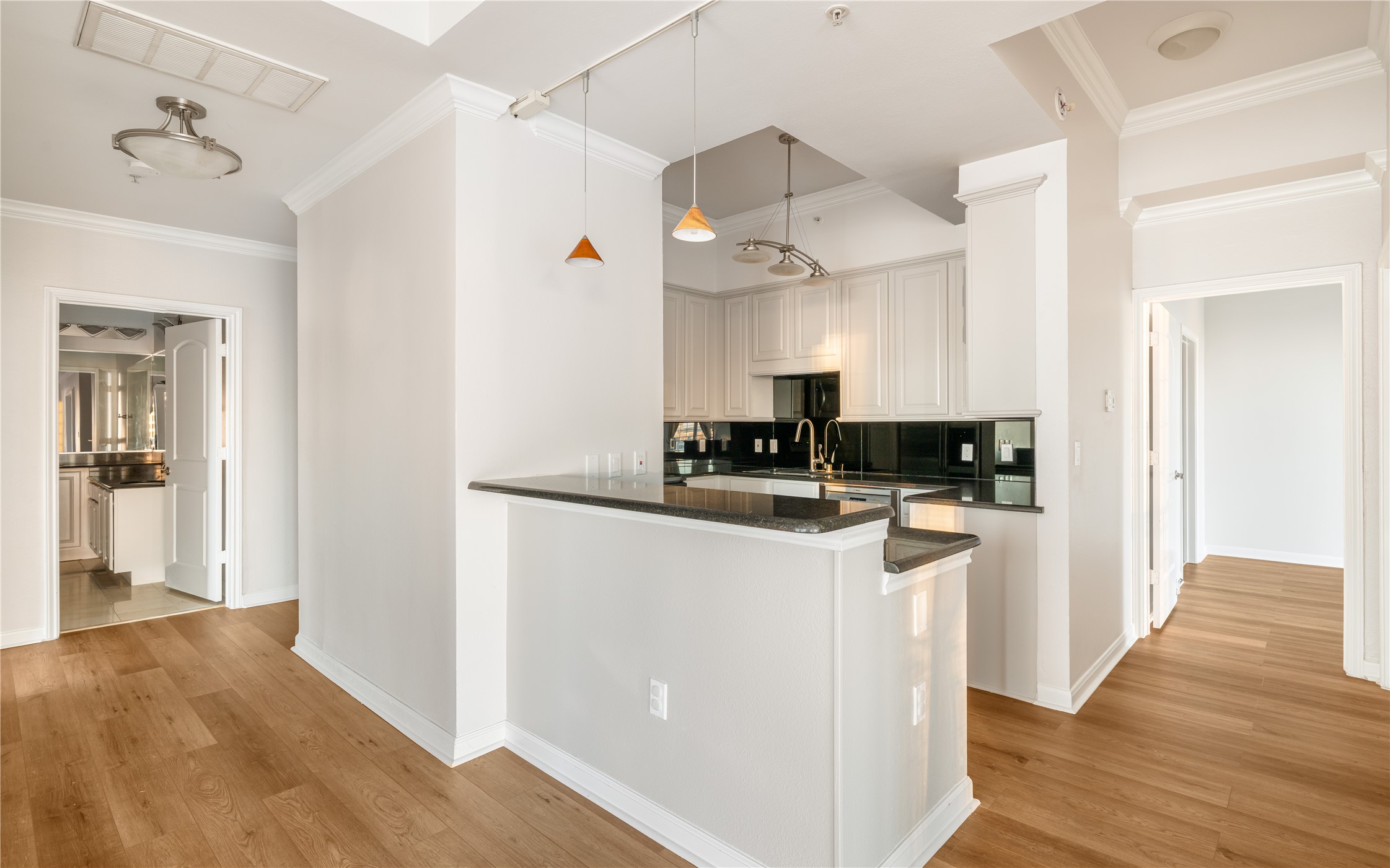 3225 Turtle Creek Boulevard 1247