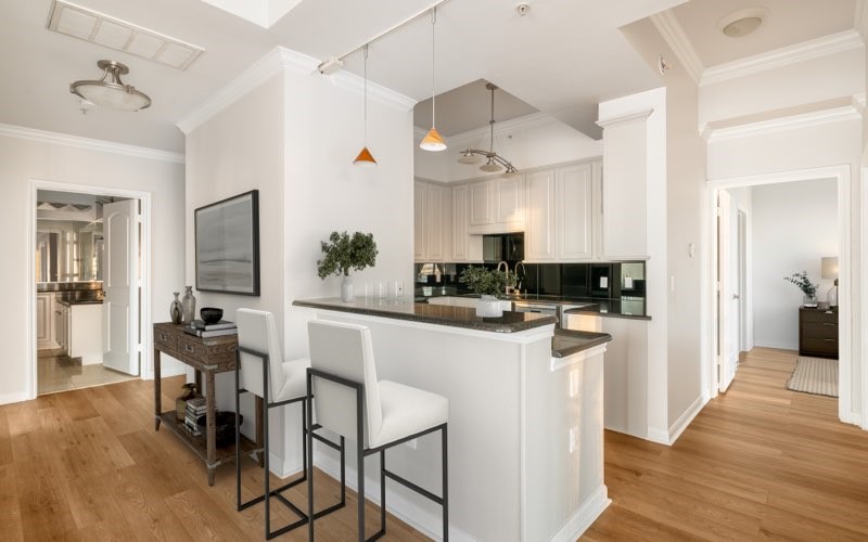3225 Turtle Creek Boulevard 1247