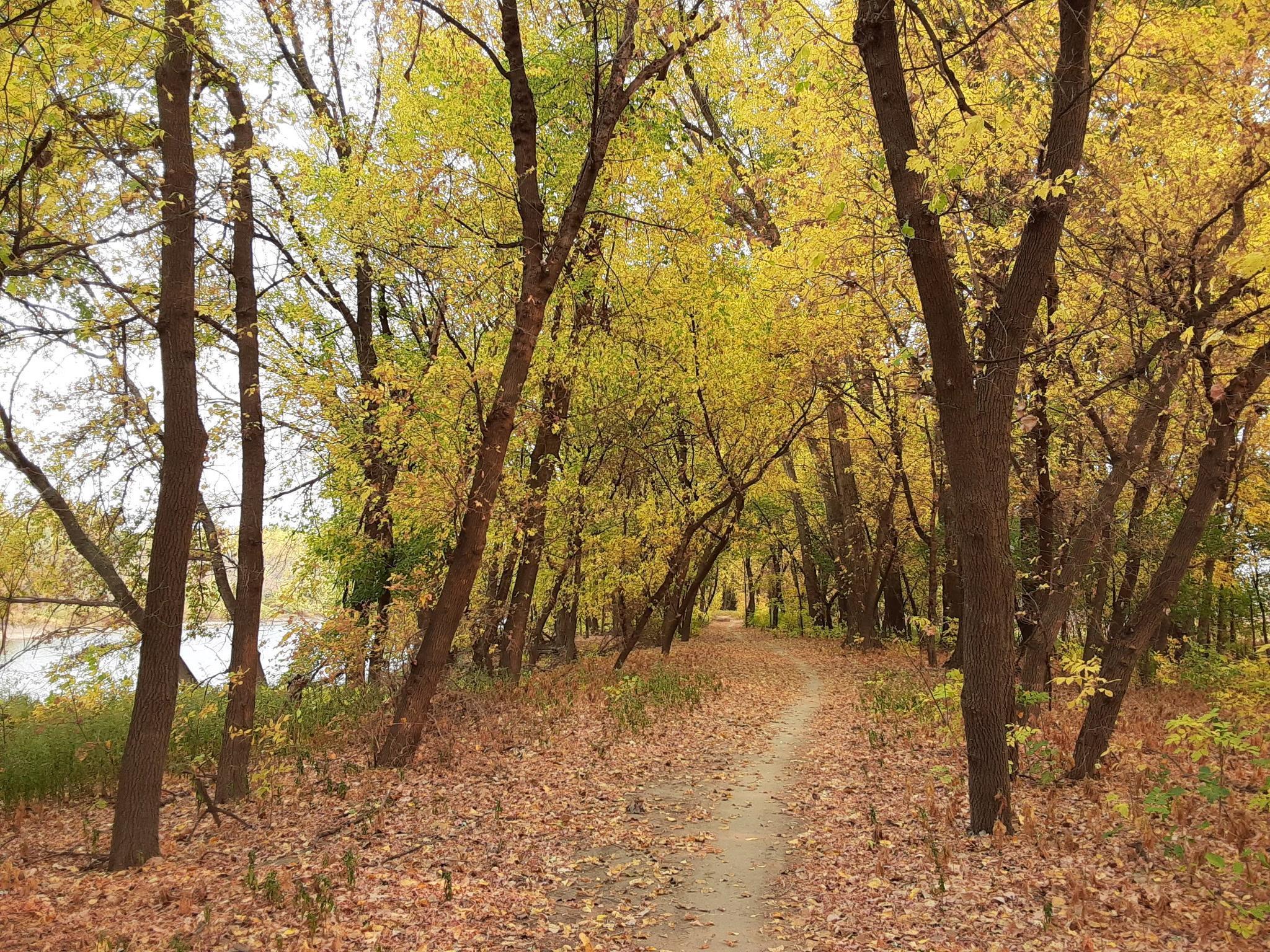 10341 Clinton Avenue S