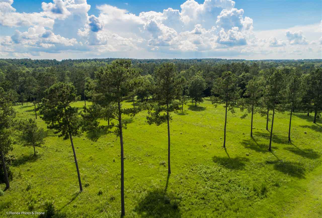 Lot 8 San Bonita Boulevard Unit: 1