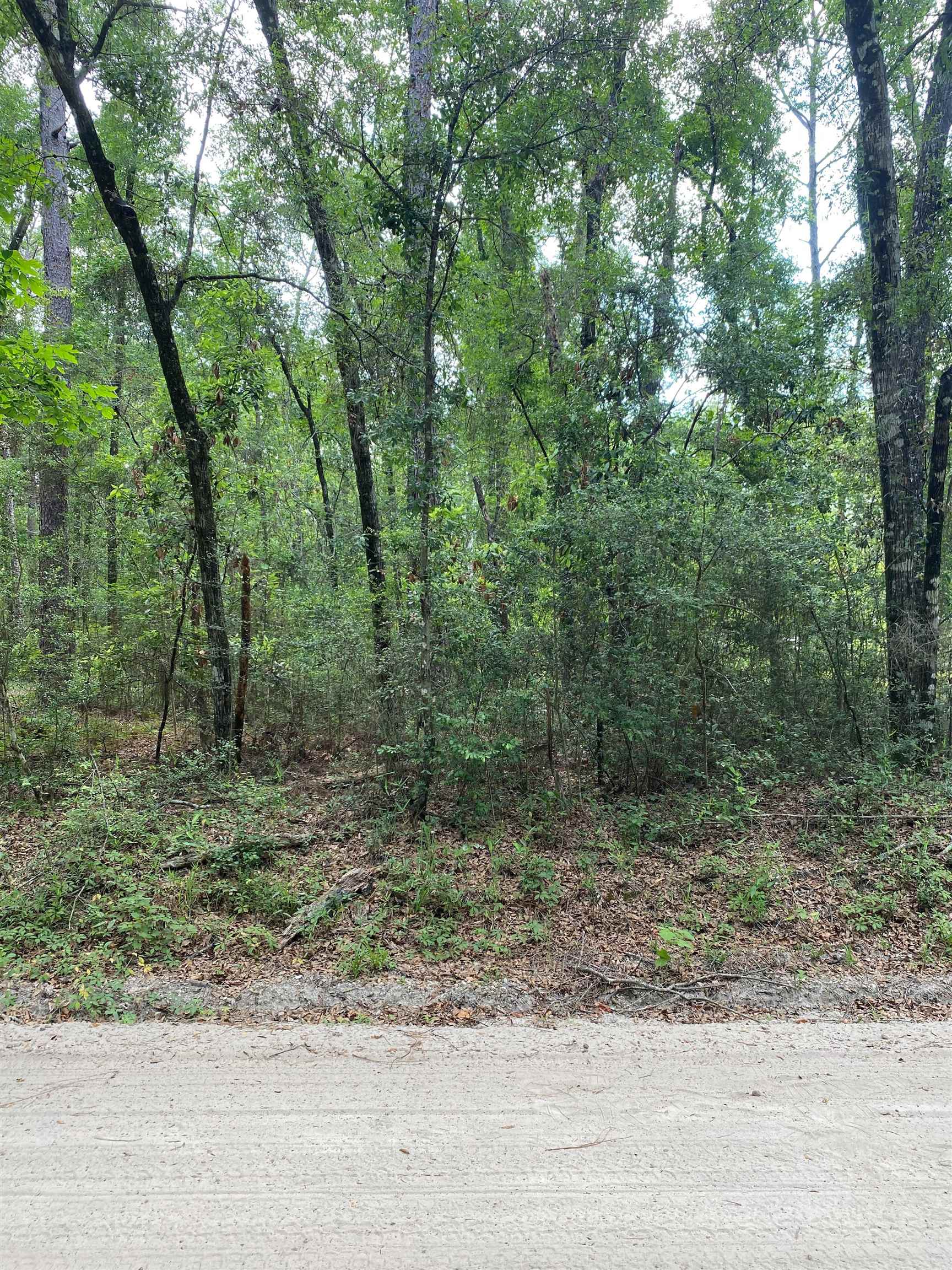 Lot 3 Chicopee Road