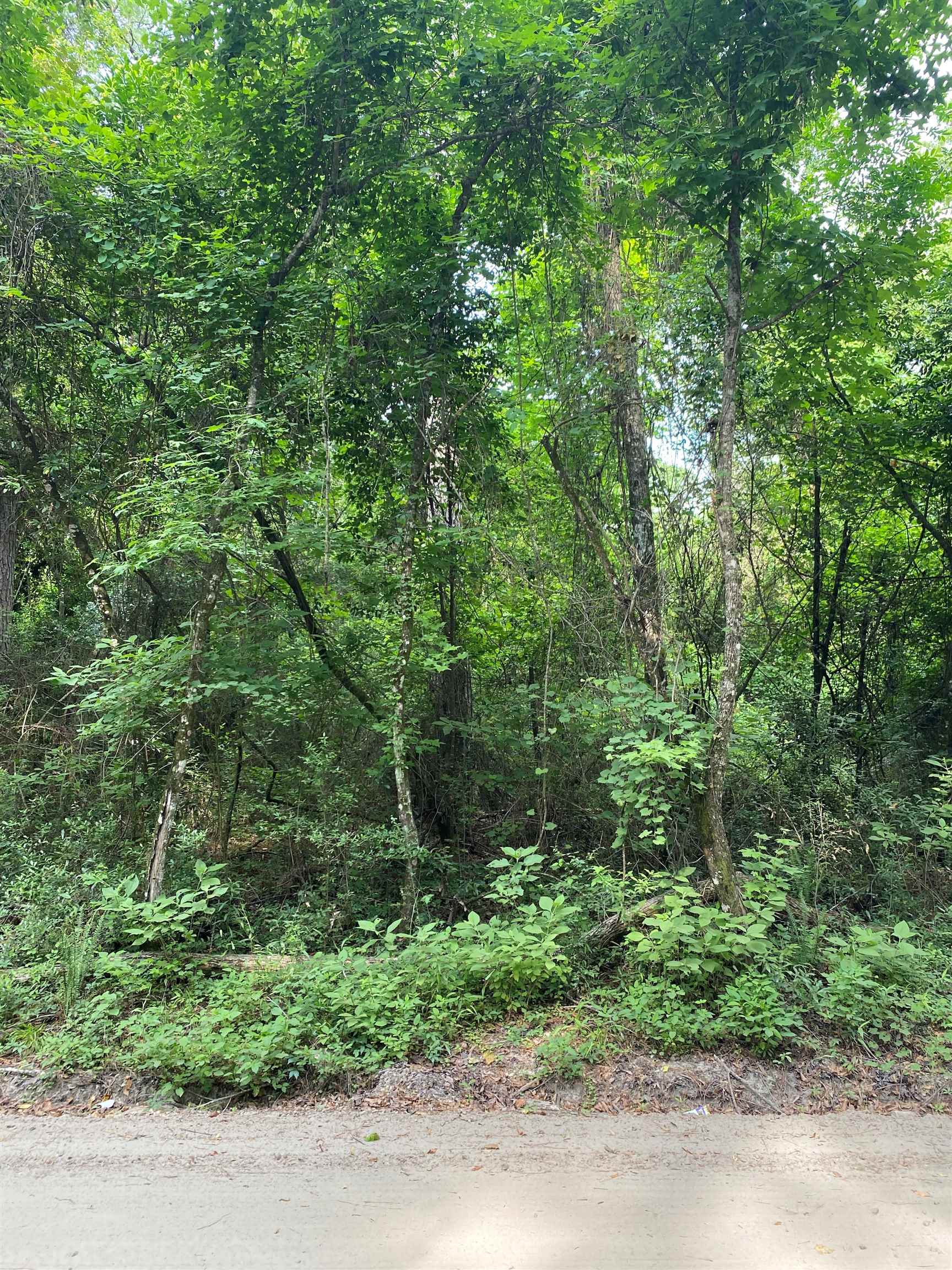 Lot 48 Neeley Road