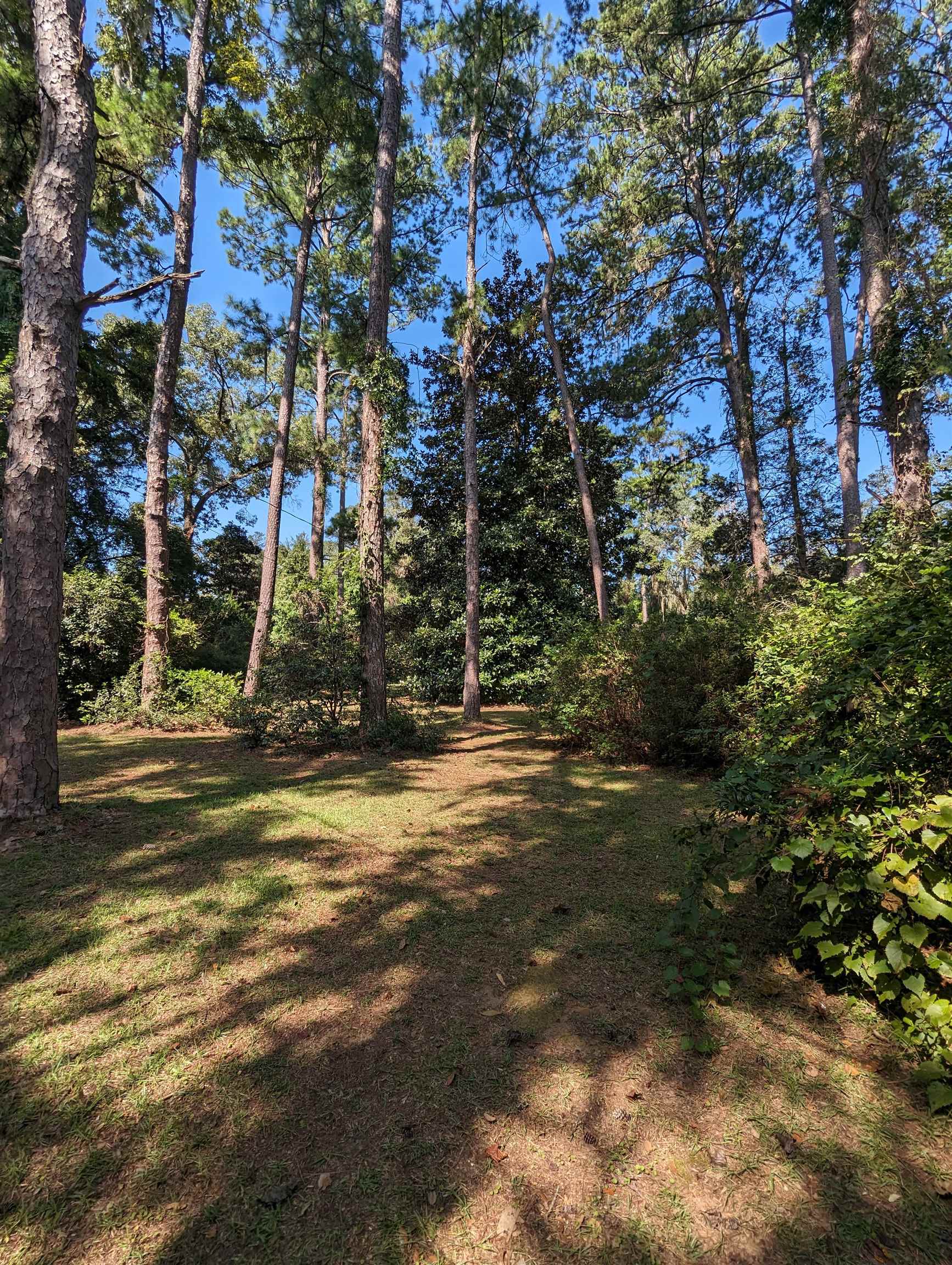 5022 Mahan Drive