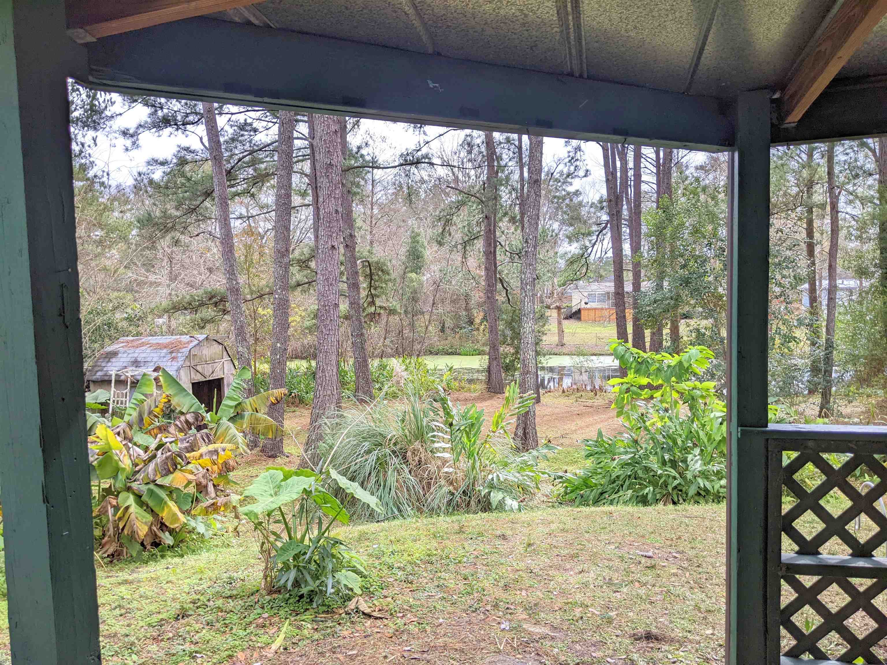 1117 Doves Hollow Lane