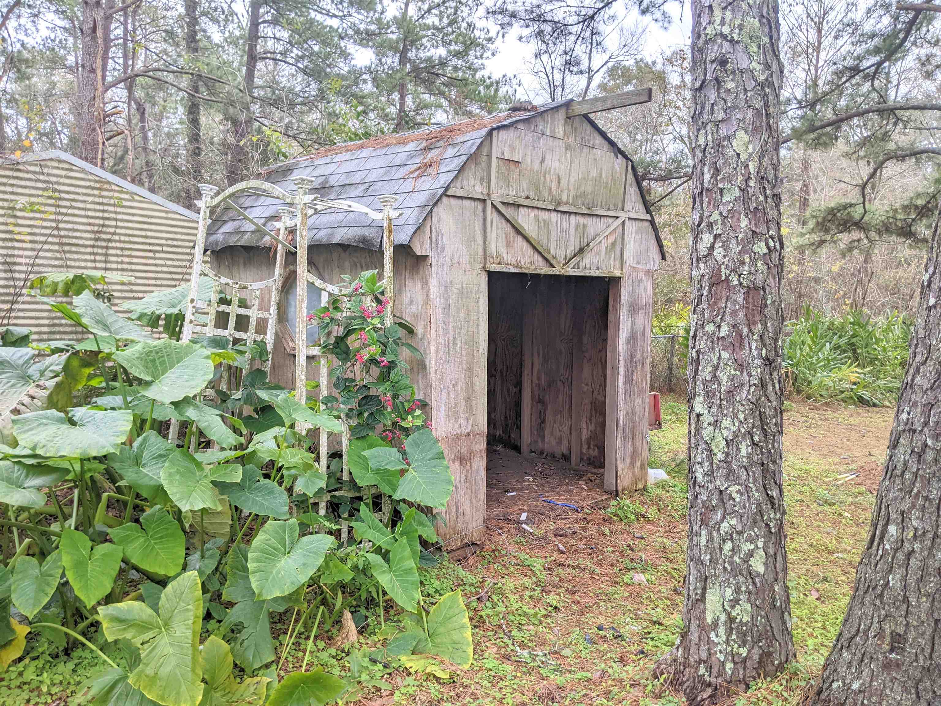 1117 Doves Hollow Lane
