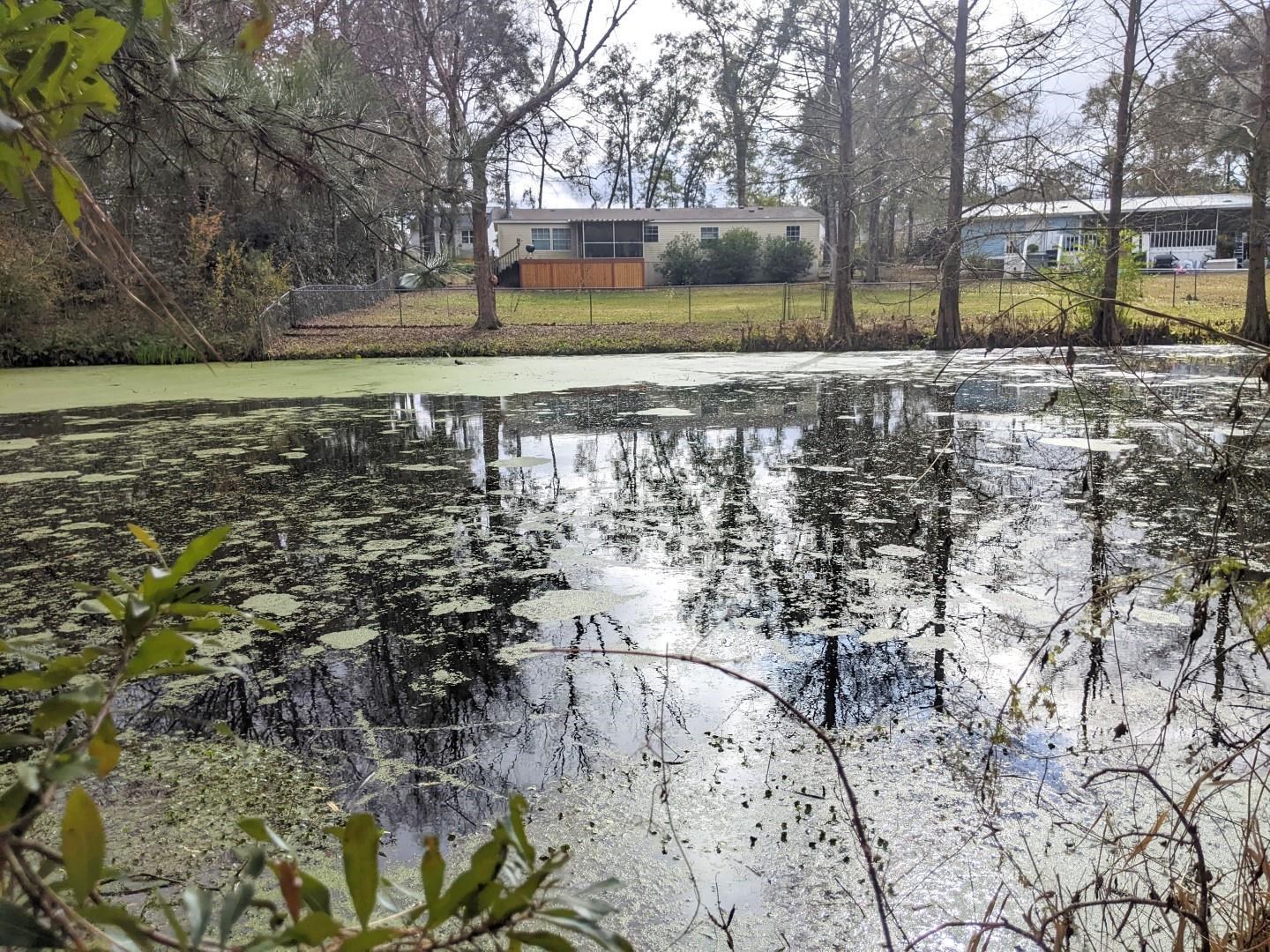 1117 Doves Hollow Lane