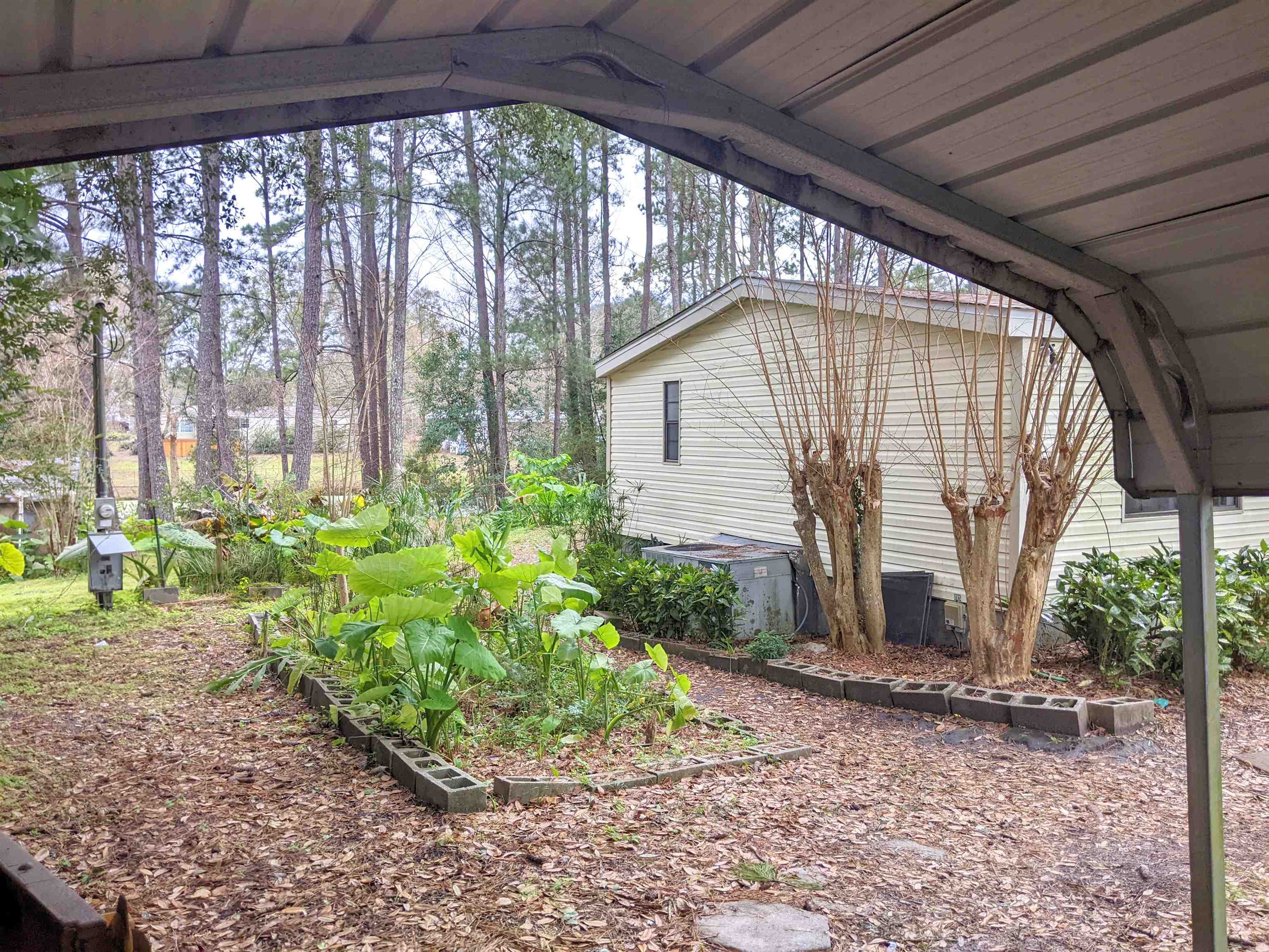1117 Doves Hollow Lane