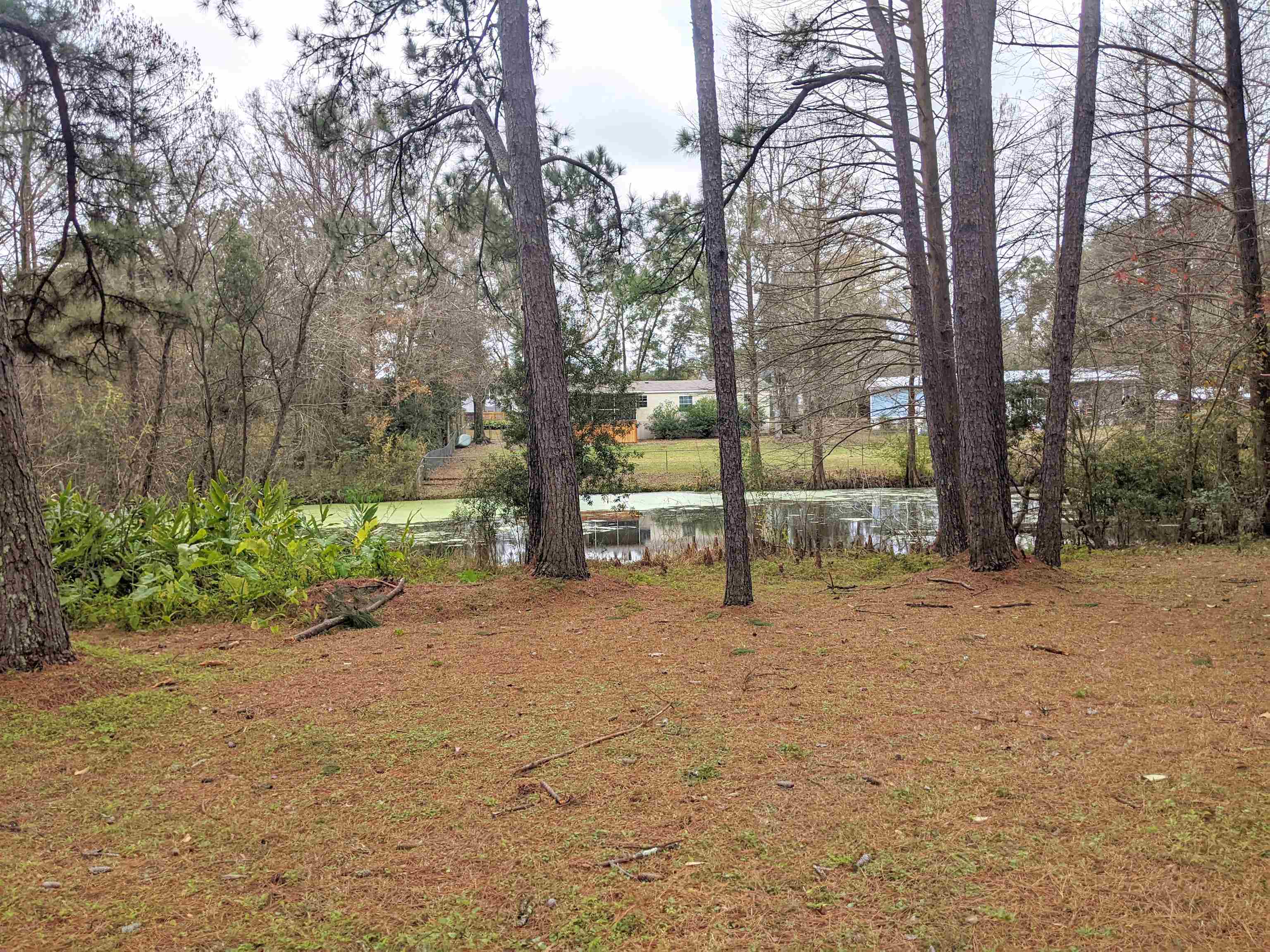 1117 Doves Hollow Lane