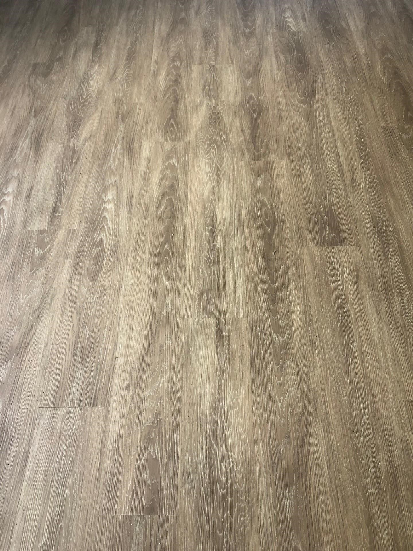 2854 Manila Palm Court