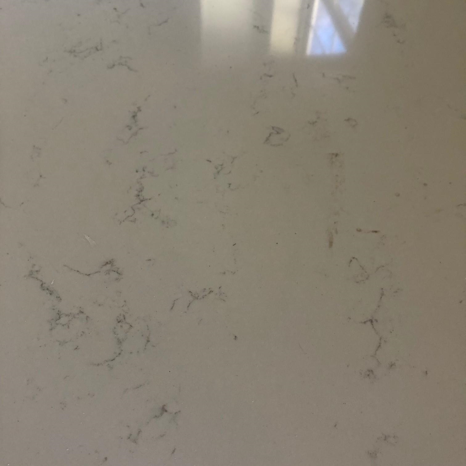 2854 Manila Palm Court