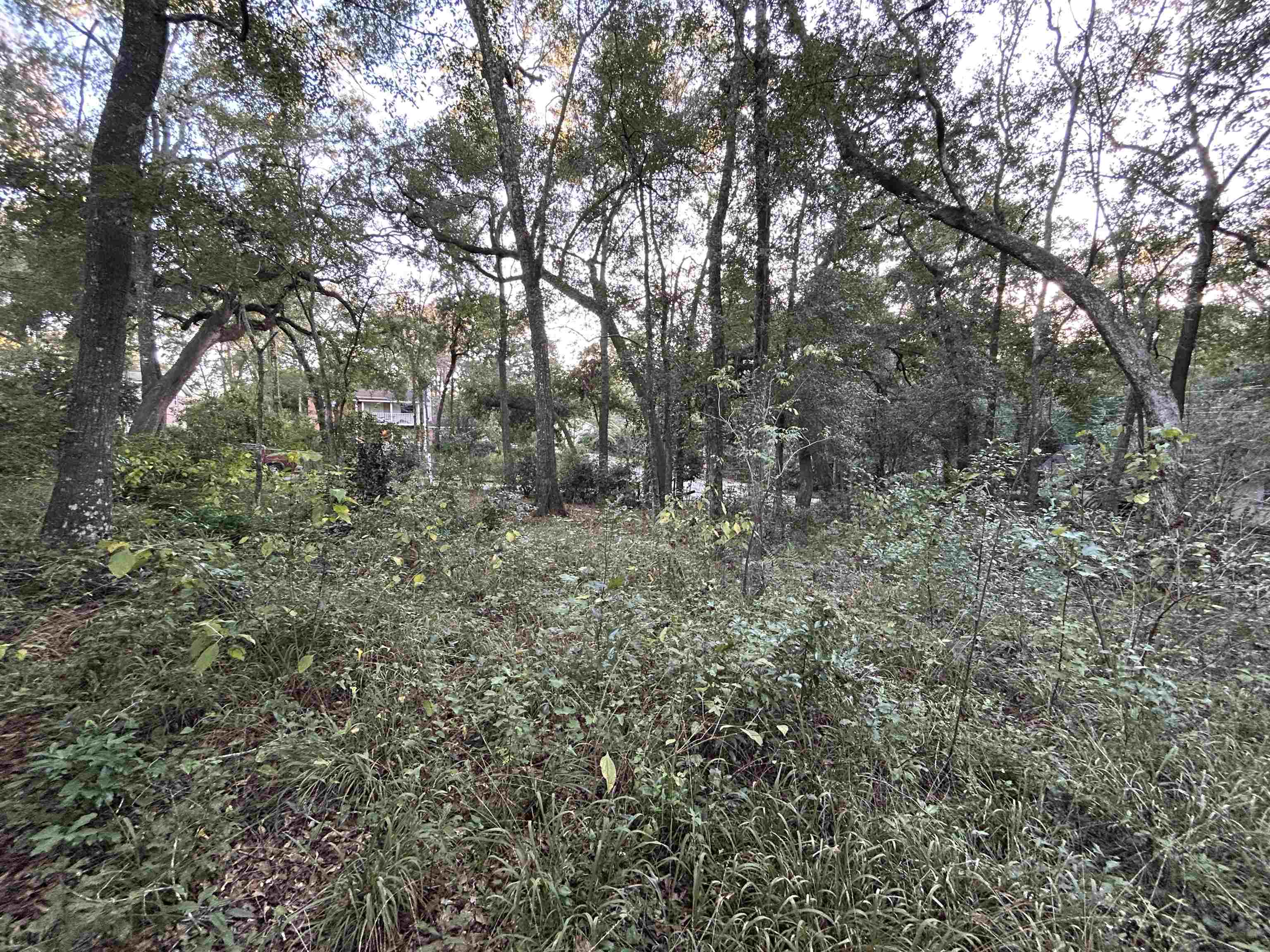 934 Chestwood Avenue