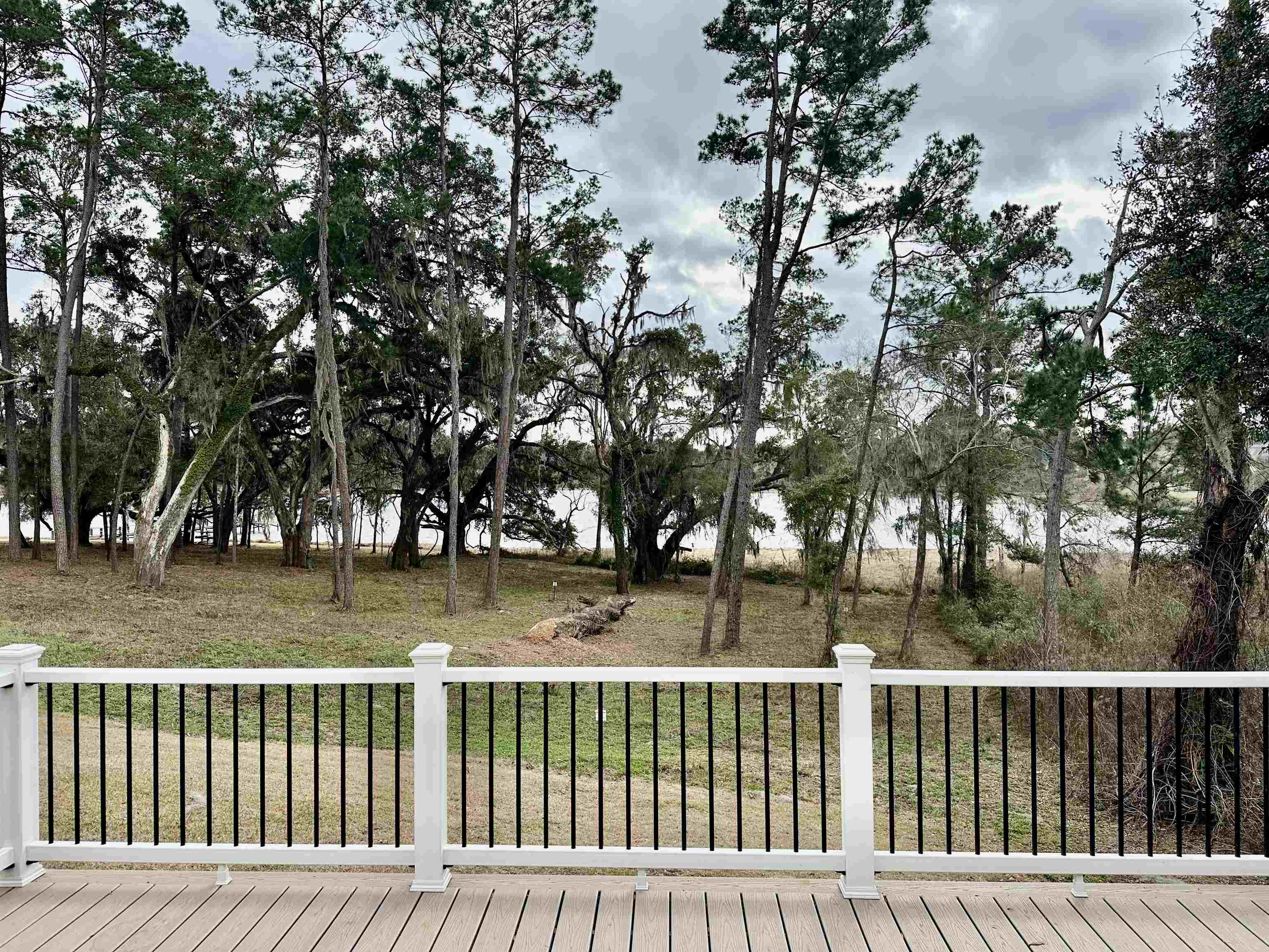 4316 Terebinth Trail