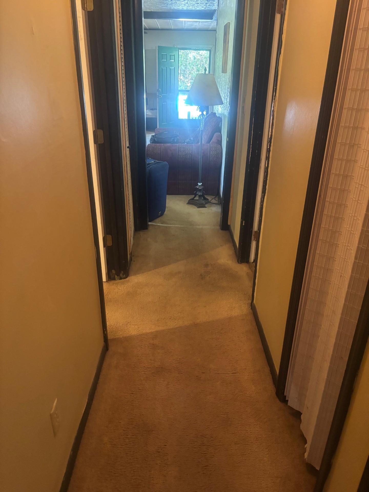 8515 Forest Wood Drive