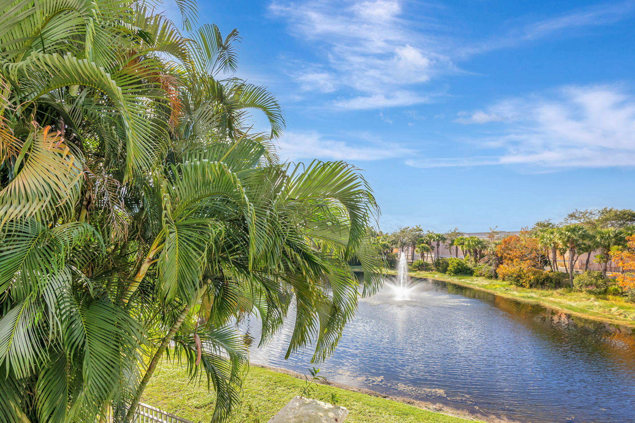 Palm-framed pond with a fountain and landscaped shoreline.