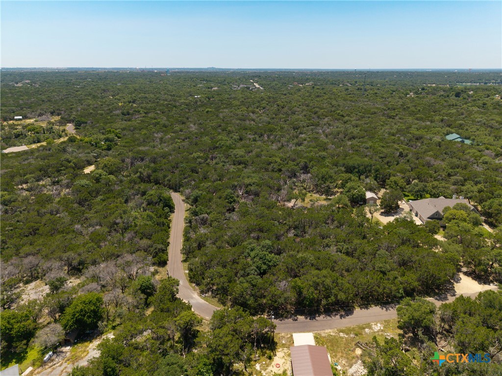 TBD Prickley Pear Lane