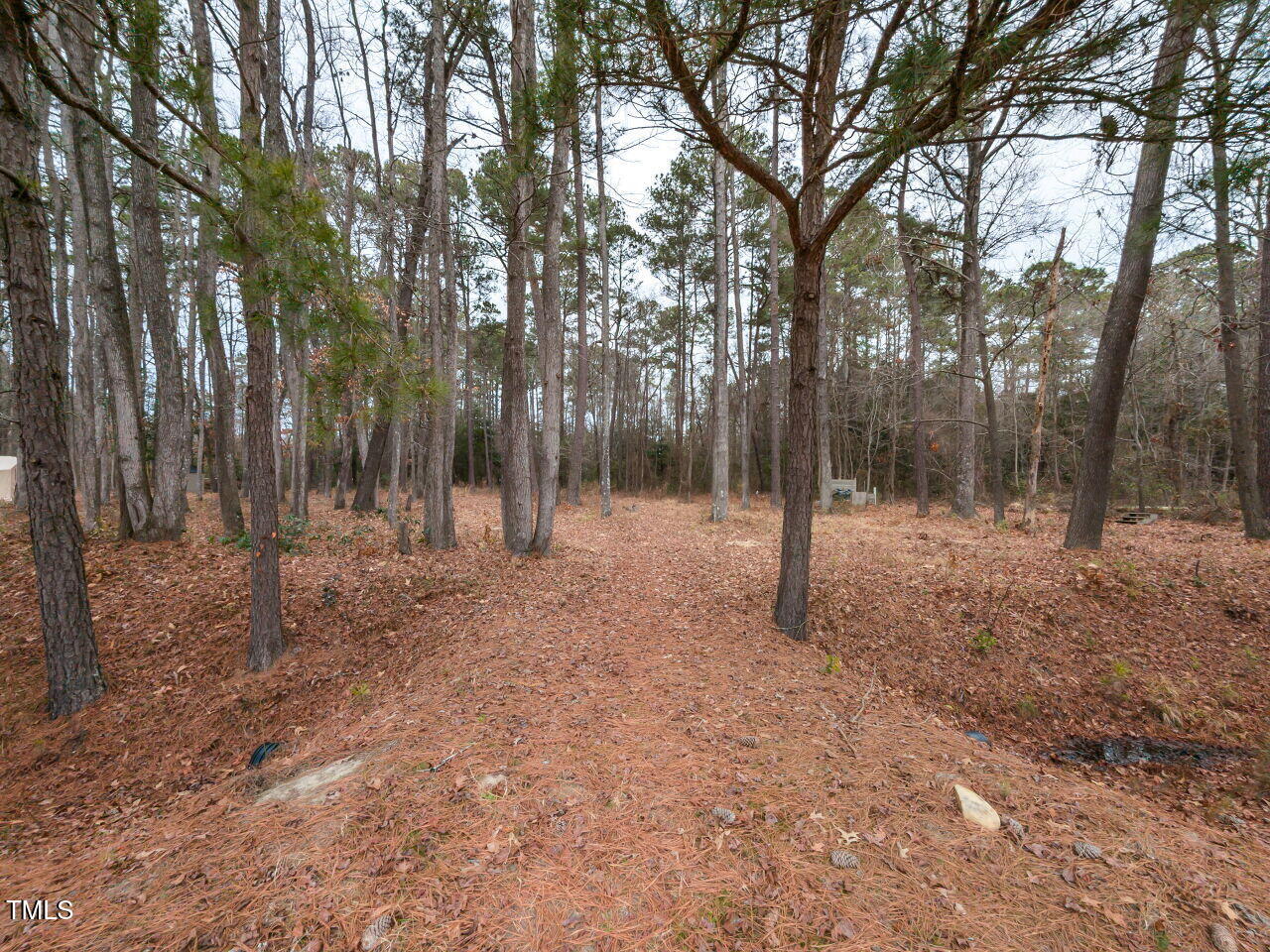 146 Watersedge Lane