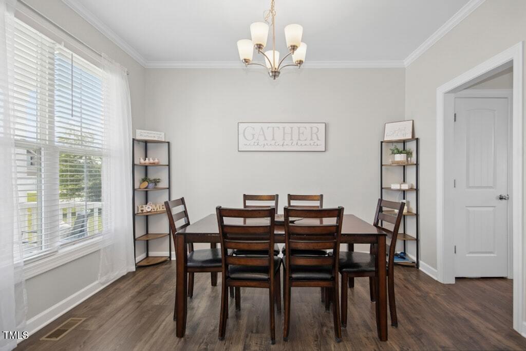 102 Williamson Place Drive