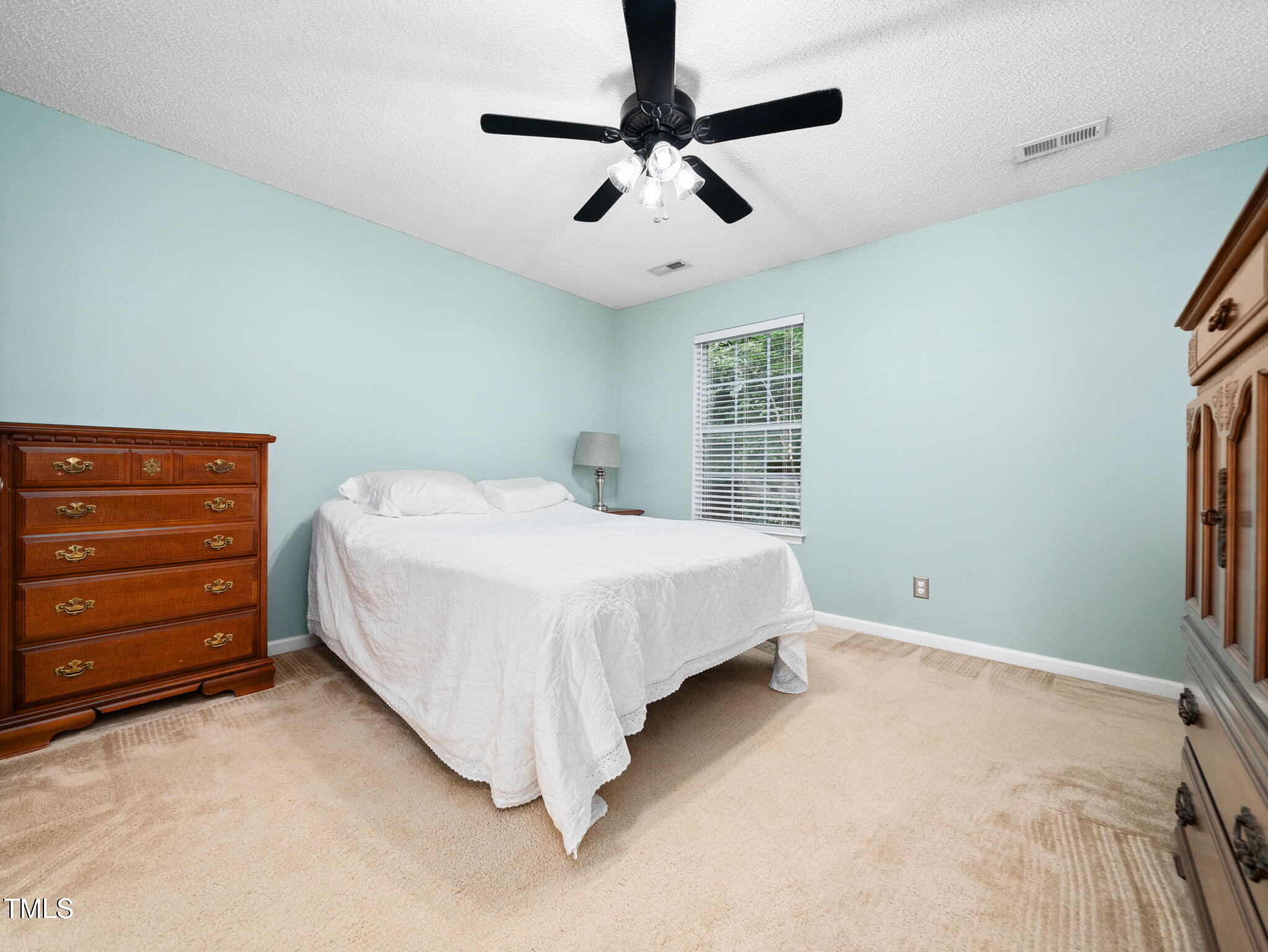 209 Climbing Ivy Court