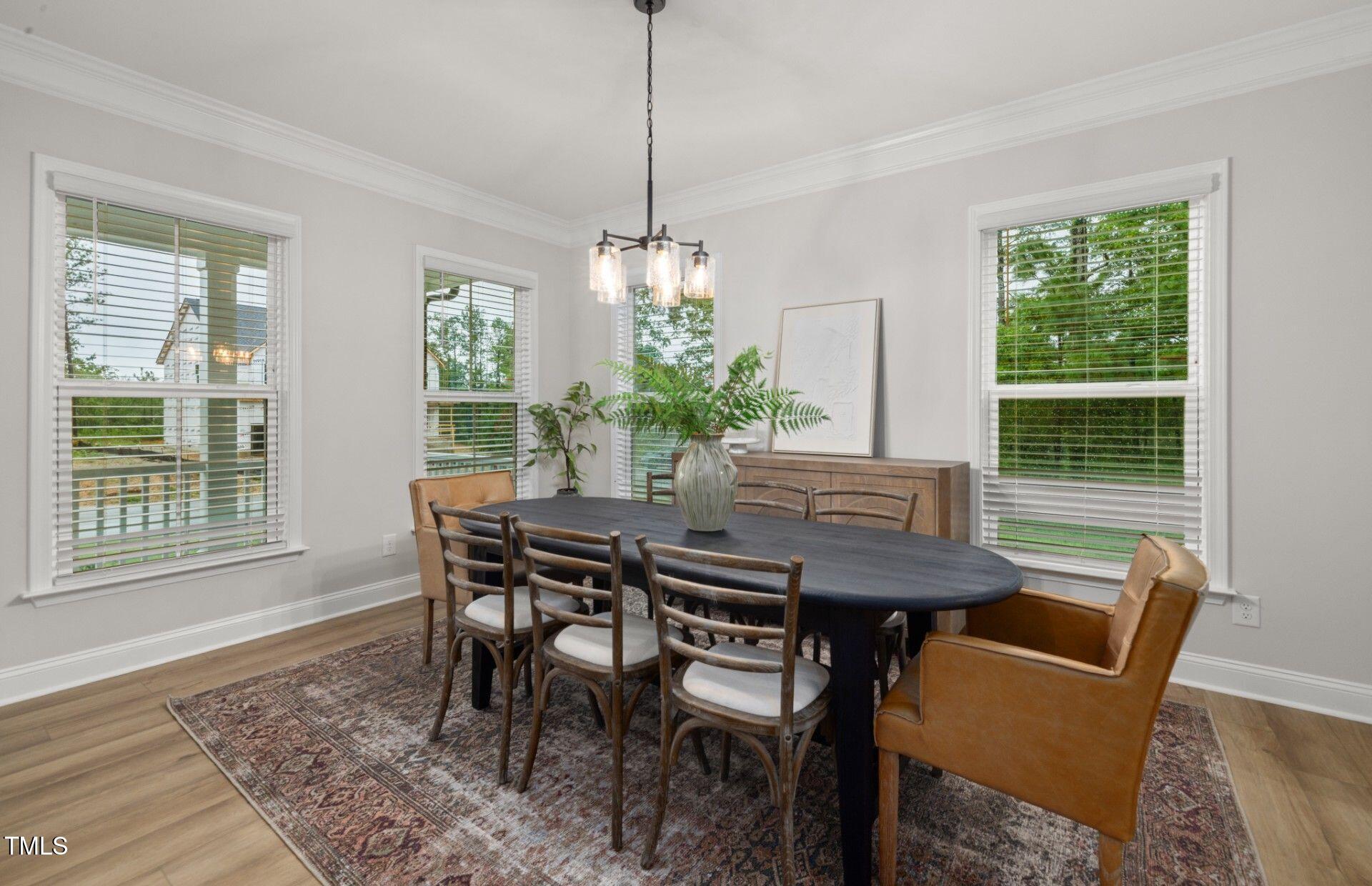 146 E Star Foal Lane