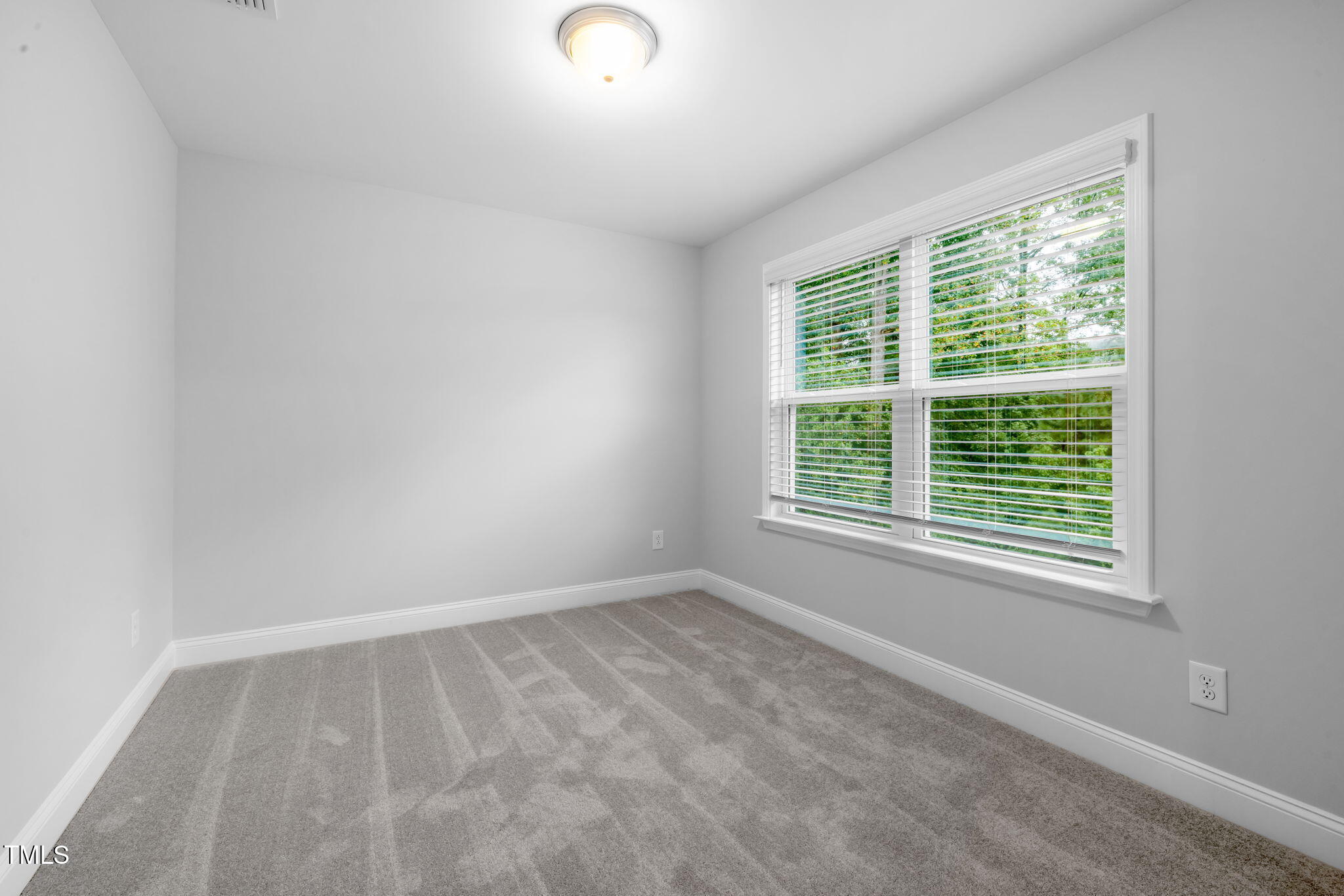 146 E Star Foal Lane