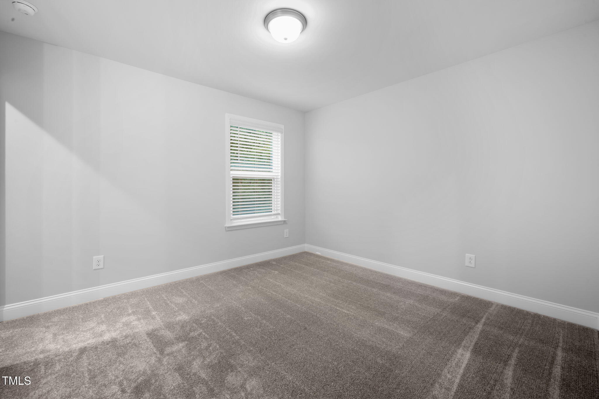 146 E Star Foal Lane