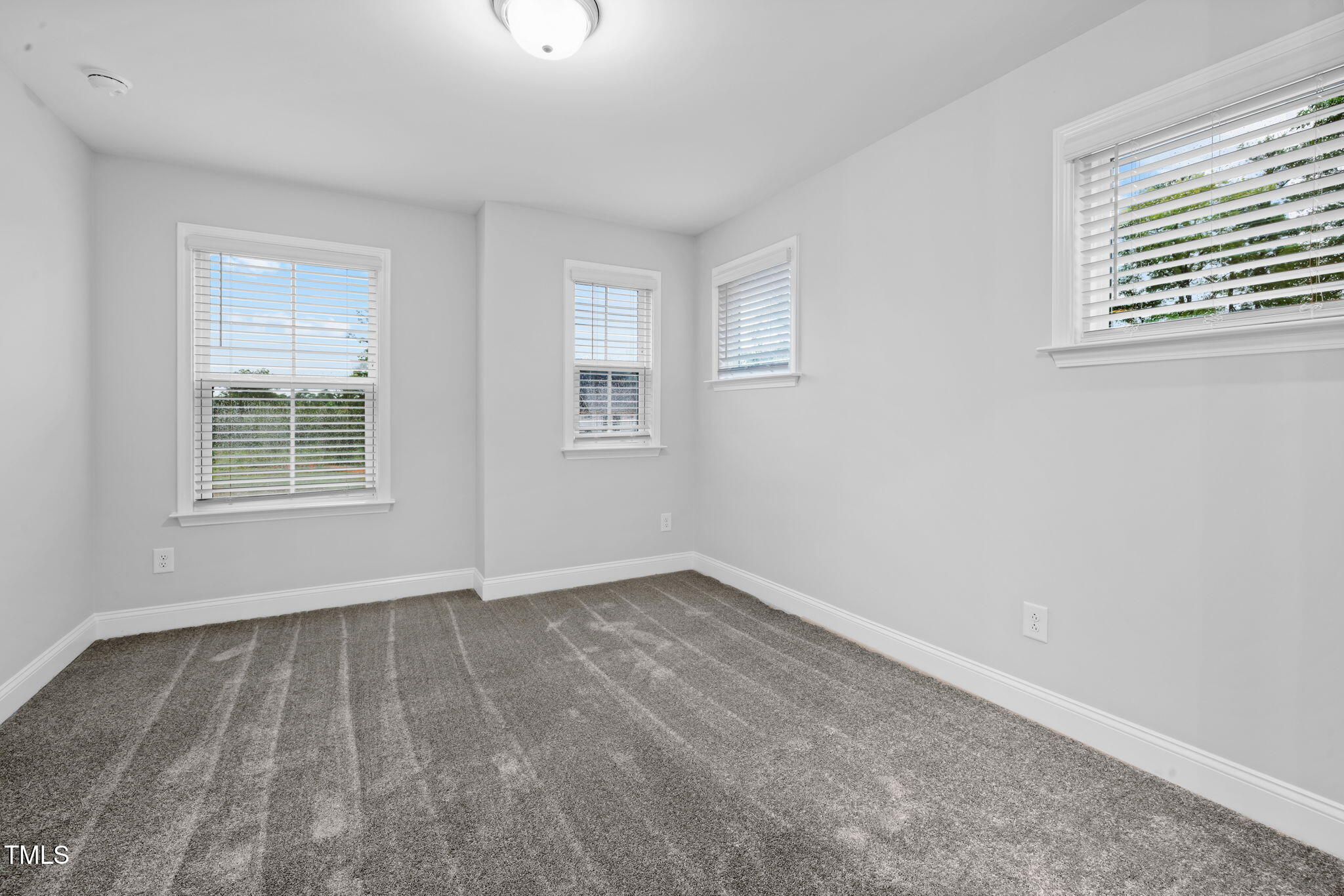 146 E Star Foal Lane