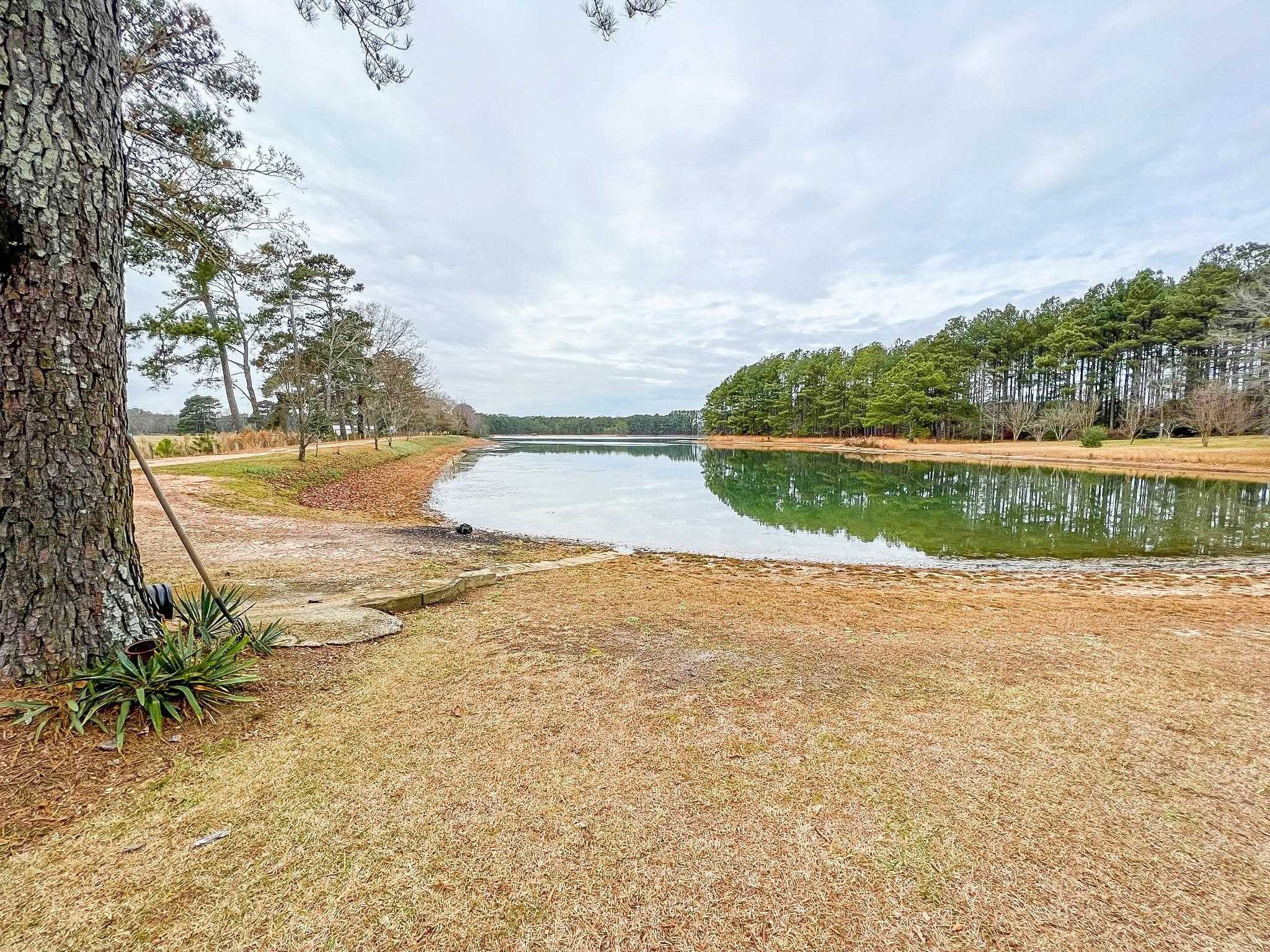 50 Thomas Arnold Road