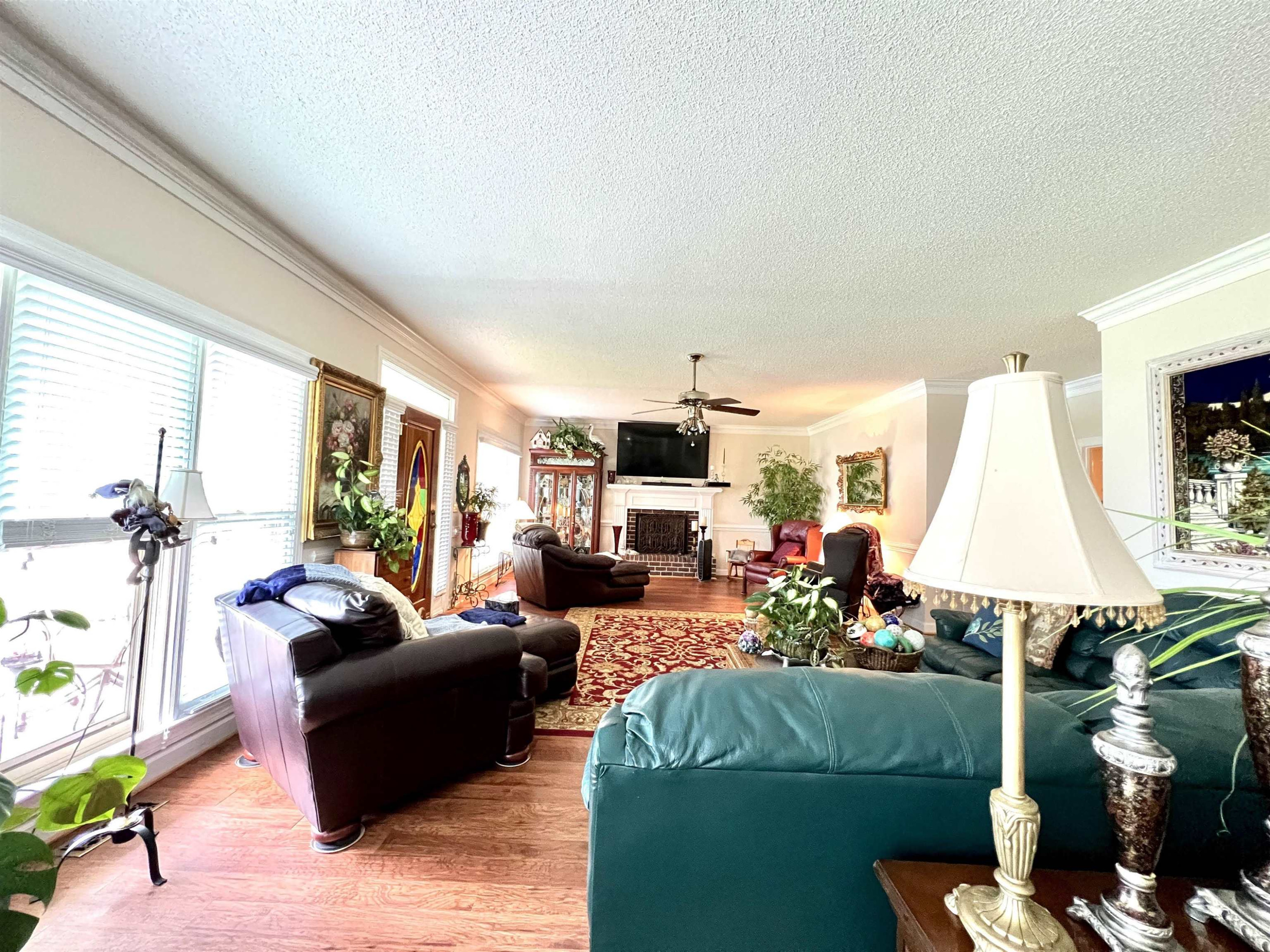 50 Thomas Arnold Road