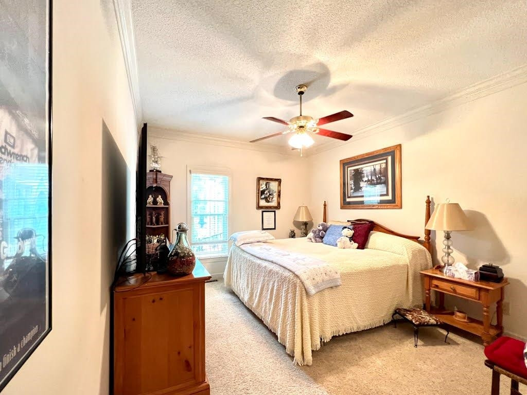 50 Thomas Arnold Road