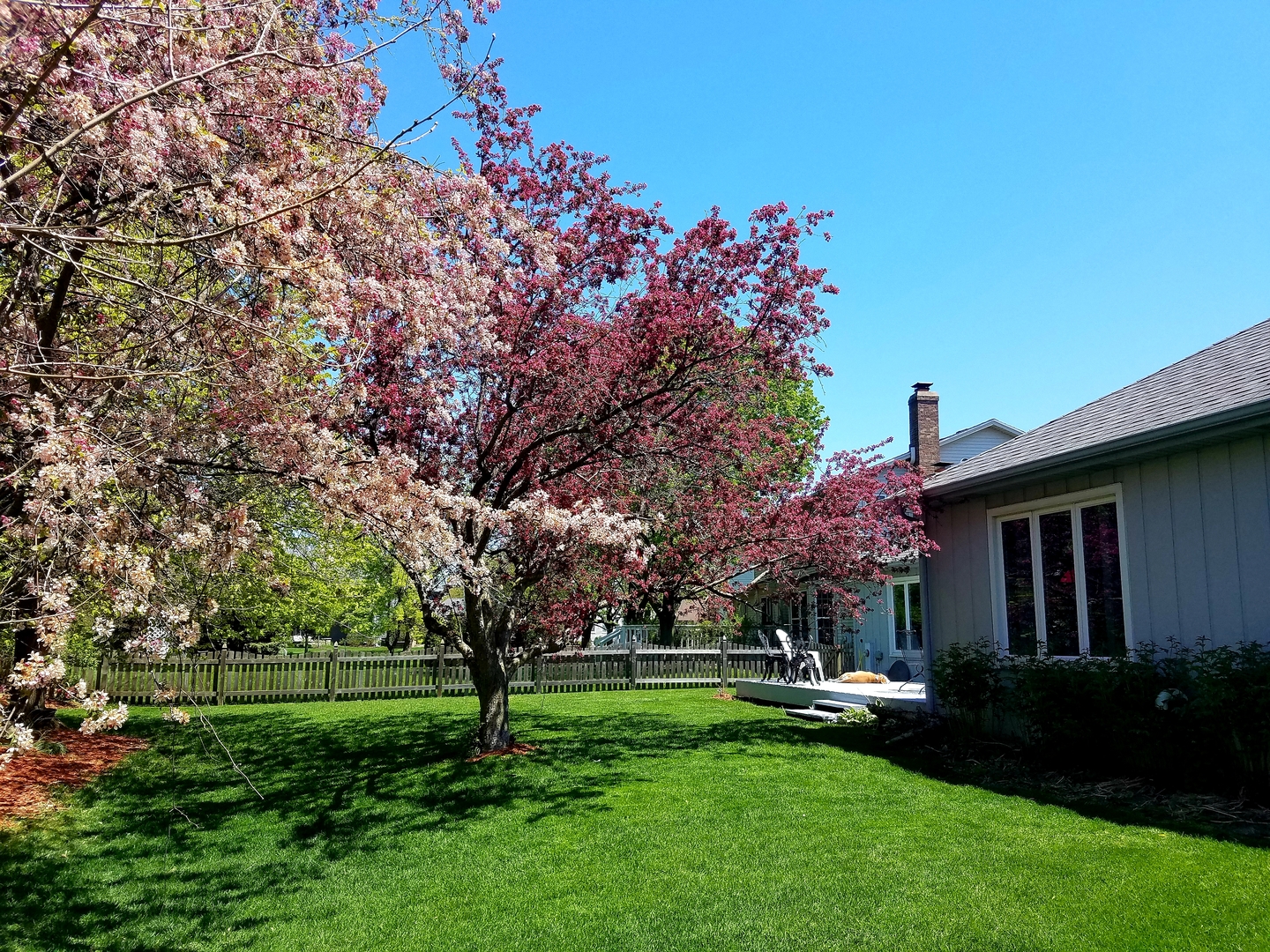 1689 Iona Court