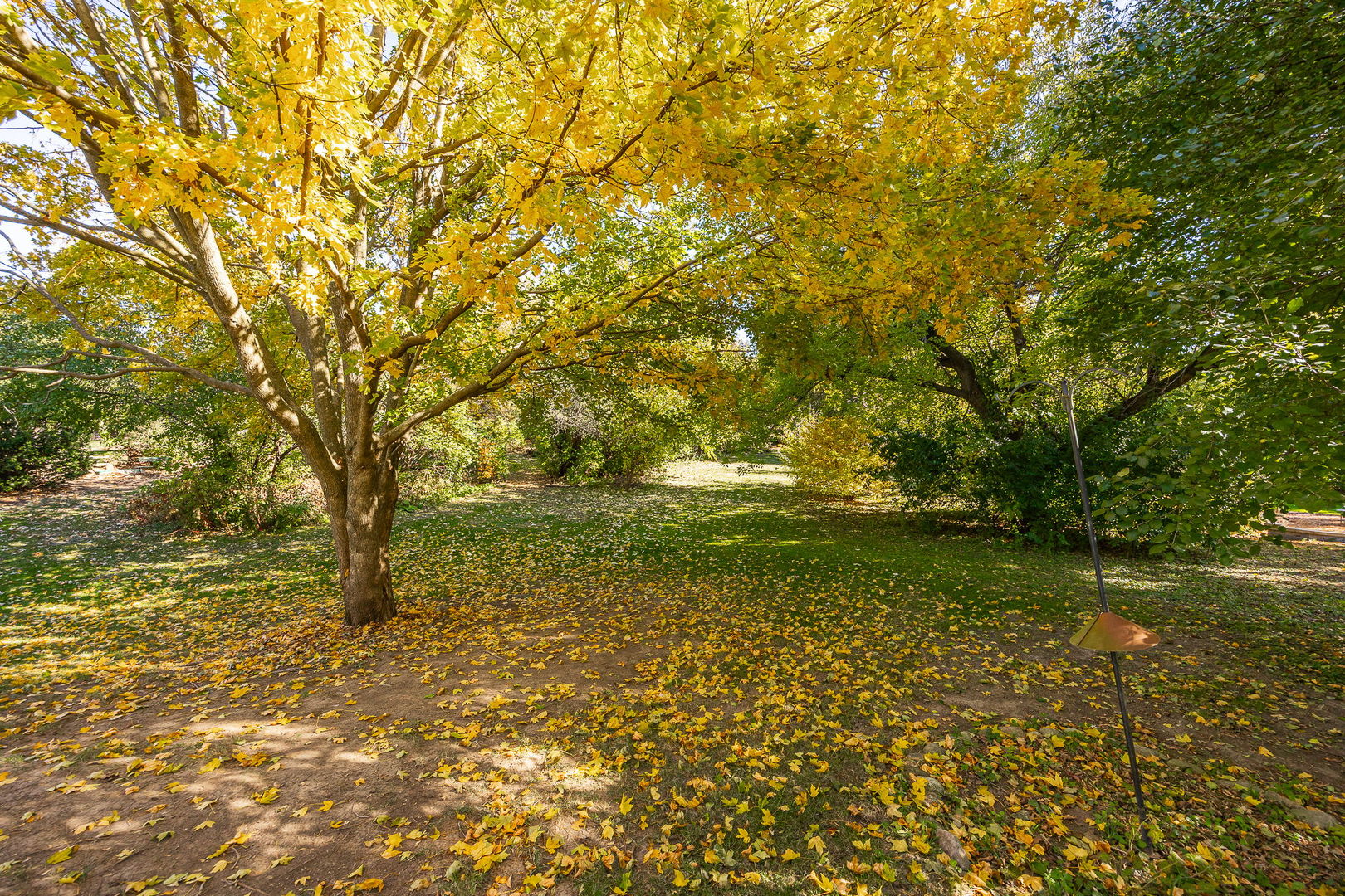 4915 Pershing Avenue