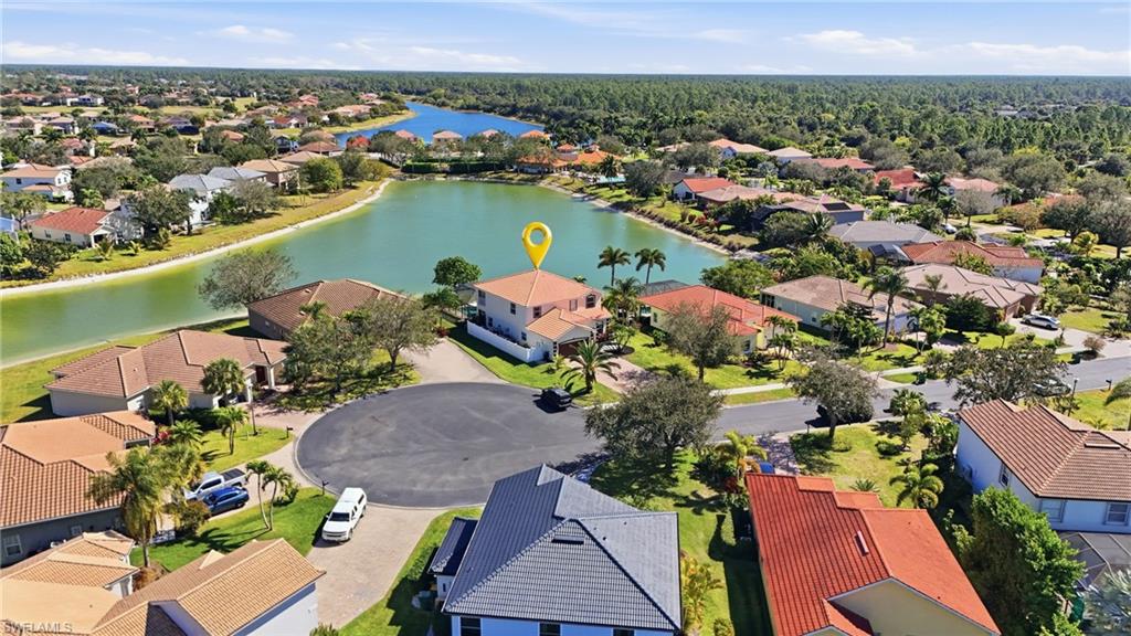 2649 Citrus Key Lime CT
